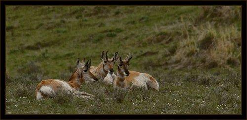 mobile - carousel-hero-element image-0