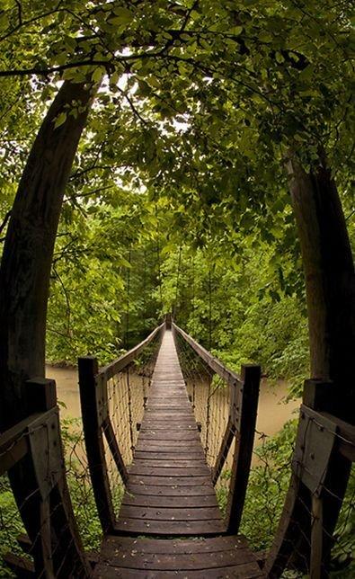 carousel-hero-element image-3