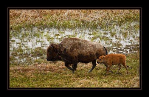 mobile - carousel-hero-element image-6