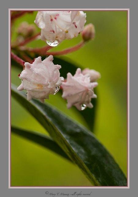 carousel-hero-element image-3