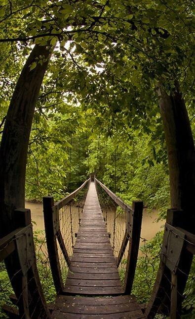 carousel-hero-element image-2