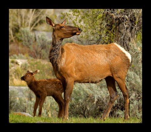 mobile - carousel-hero-element image-7