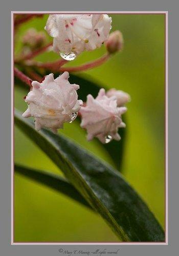 mobile - carousel-hero-element image-3