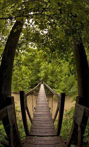 mobile - carousel-hero-element image-3