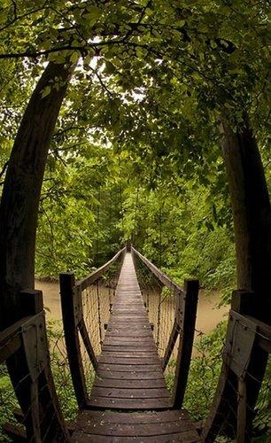 mobile - carousel-hero-element image-2